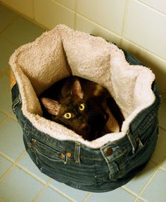 a cat is sitting in a denim dog bed on the floor next to a tiled wall