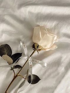 two white roses with ribbons tied to them sitting on a bed sheet that has the words dior written on it