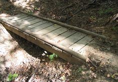 a wooden walkway in the woods with lots of leaves on the ground next to it