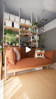 a living room filled with furniture and lots of plants