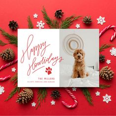 a dog sitting on top of a red surface surrounded by pine cones and candy canes