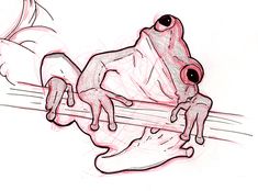 a drawing of a frog sitting on the edge of a piece of paper with its eyes open