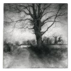 a black and white drawing of a tree in the middle of a field with no leaves