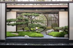 一半烟火，一半清欢 | 淄博新东升福园（大区） Modern Chinese Garden, Japan Garden Design, Chinese Garden Landscape, Chinese Garden Design, Modern Zen Garden, Modern Japanese Garden, Water Wall Fountain, Japanese Garden Landscape, China Garden