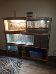 a fish tank sitting on top of a wooden shelf next to a blue and white rug