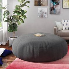 a living room filled with furniture and a potted plant on top of a rug