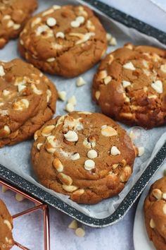 chocolate chip cookies with nuts are on a baking sheet