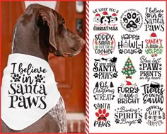 a brown dog wearing a white bandana with the words sorry santa i ate the cookies on it