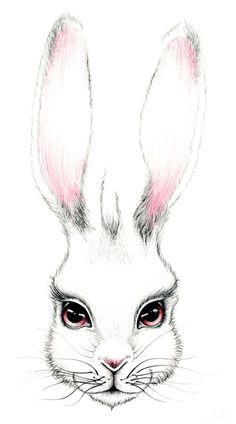 a drawing of a rabbit's face with pink ears