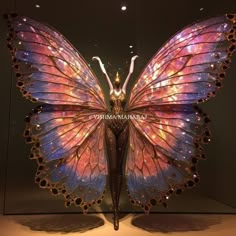 a butterfly that is on display in a glass case with its wings spread wide open