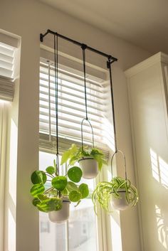 three hanging planters in front of a window with blinds on the windowsills