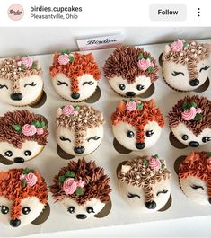 cupcakes decorated like hedgehogs with flowers and leaves are on display in a box