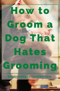 How to Groom a Dog That Hates Grooming - Dog Training Advice Tips Dog Grooming Diy, Dog Grooming Styles, Dog Remedies, Dog Grooming Salons, Puppy Grooming, Dog Grooming Tips, Poodle Grooming, Basic Dog Training, Dog Haircuts