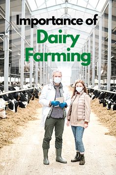 a man and woman standing in front of cows with the words, importance of dairy farming