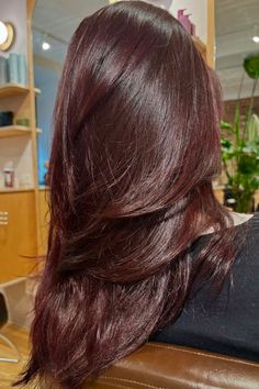 dark red brown hair Dark Red Glaze Hair, Dyed Auburn Hair Reddish Brown, Deep Red Long Hair, Different Hair Colour Ideas, Red Hair Color For Brown Skin Indian, Win Red Hair, Cherry Cholocate Hair, Dark Deep Red Hair Color, Dark Brown Hair To Red