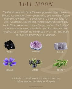 Full Moon Altar, Moon Madness, Divination Witch, Full Moon Rituals, Crystal Healing Chart