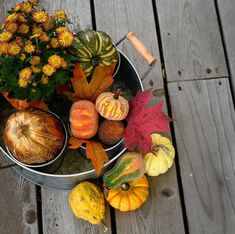 a bucket filled with pumpkins and gourds on top of a wooden deck