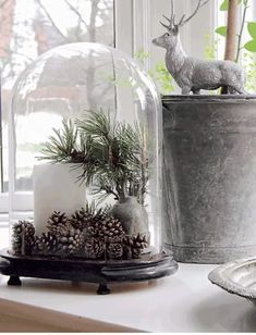 a glass clochet with pine cones and plants in it sitting on a window sill