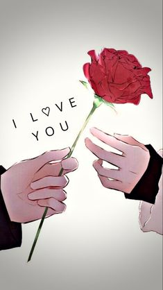 two hands holding a red rose with the words i love you written on it,