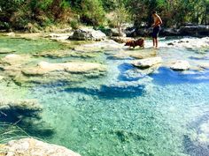 a man and his dog are standing on rocks in the middle of a river with clear blue water