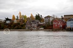 houses along the water with trees in the background