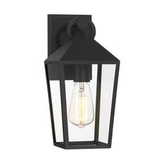 an outdoor wall light with a clear glass shade