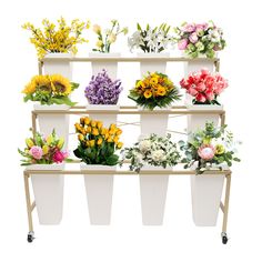 a bunch of flowers that are sitting on a shelf in front of a white background