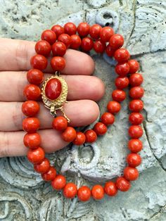 Simple and elegant Sardinia coral bead necklace with an 18k yellow gold clasp! Total Weight: 45.86 grams Necklace Length: 17 inch 18k gold clasp: 18.8mm x 13.7mm Precious Metal: 18k gold Precious stones: -Coral Round Beads: 8.1mm to 9mm diameter -Coral Faceted Oval: 12..3mm x 8.5mm Formal Coral Single Strand Beaded Necklace, Elegant Orange Hand-strung Necklace, Elegant Single Strand Red Coral Necklaces, Elegant Single Strand Red Coral Necklace, Orange Single Strand Red Coral Jewelry, Elegant Hand-strung Coral Necklaces, Elegant Coral Hand-strung Necklaces, Elegant Red Coral Round Bead Necklaces, Elegant Red Coral Round Bead Necklace