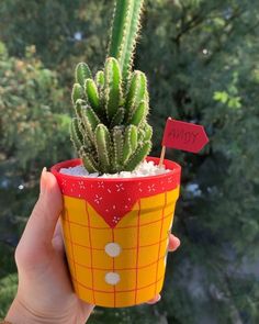 a hand holding a small potted cactus with a red sign on it's side