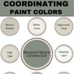 the color scheme for coordinating paint colors is shown in black, white and grays