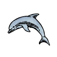 a drawing of a dolphin jumping in the air