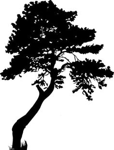 a black and white silhouette of a tree