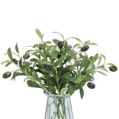 a vase filled with lots of green plants