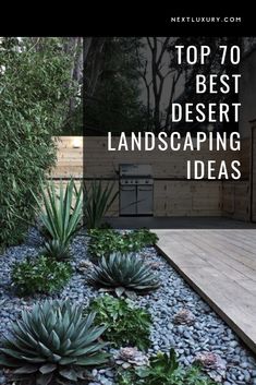 the top 70 best desert landscaping ideas