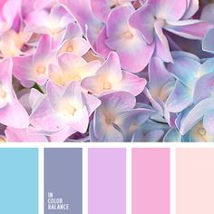 the color scheme is pink and blue with white orchids in it's center