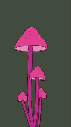 three pink mushrooms on a green background