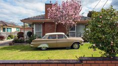 an old car parked in front of a house with pink flowers on the trees and grass