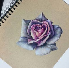 a drawing of a purple rose on top of a piece of paper