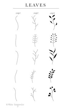 four different types of leaves in black and white, with the words leaves above them