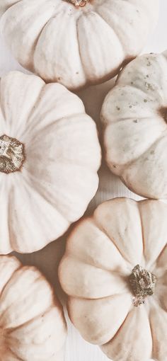 four white pumpkins sitting on top of each other