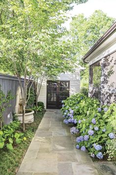 an outdoor garden with blue flowers and trees