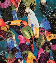 an image of many colorful birds on a blue background