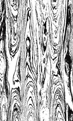 an abstract black and white wood grain pattern with streaks of paint on the bark, vintage line drawing or engraving style