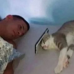 a man laying in bed next to a gray and white cat on top of a pillow