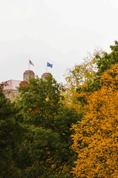 trees with yellow leaves in the foreground and two flags on top of buildings behind them