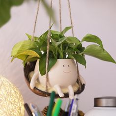 a potted plant with a smiling face hanging from it's side on a shelf