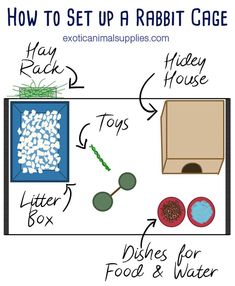 how to set up a rabbit cage with instructions on how to put it in the box