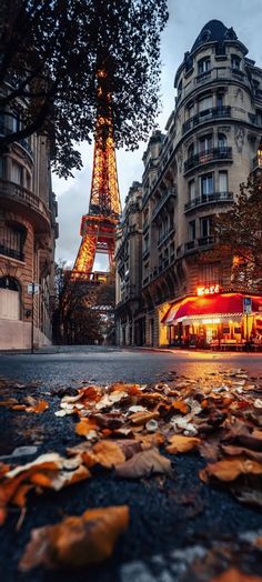 the eiffel tower in paris is lit up at night with autumn leaves on the ground