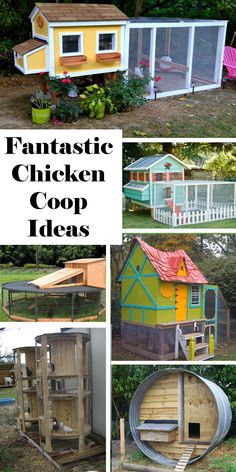 the chicken coop is made out of pallets and wooden planks, so it's easy to build