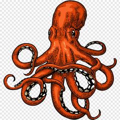 an orange octopus on a white background with no background, hd png downloads